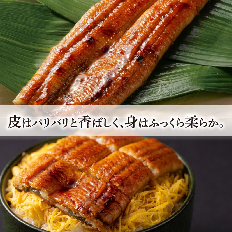 鰻 蒲焼 1尾 セット | 土佐料理司 うなぎ ウナギ 蒲焼き かばやき 丼 おすすめ 丑の日 贈答用 父の日 母の日 内祝い 出産祝い 結婚祝い お祝い 極上 御中元 ギフト用 家庭用 贈り物 極上
