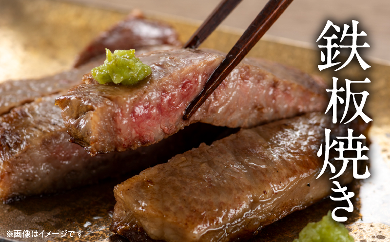 【お中元・夏の贈り物】数量限定 厳選 宮崎牛 赤身 ステーキ 計1kg 牛肉 国産 鉄板焼き BBQ バーベキュー 人気 黒毛和牛 モモ A4 A5 等級 ギフト 贈答 小分け 食品 選べる ミヤチク