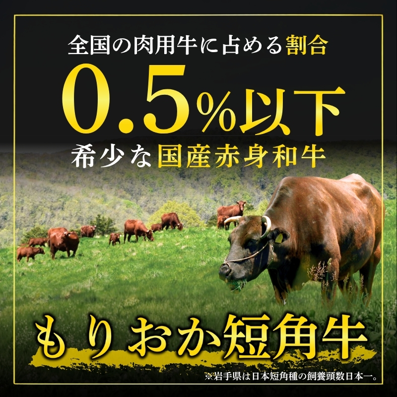 もりおか短角牛 ステーキ モモ 600g 100g×6枚 冷凍 盛岡産 国産 希少 高級 和牛 国産牛 ブランド牛 短角牛 赤身 モモステーキ ステーキ肉 ステーキ用 すてーき もも ぎゅうにく 岩手