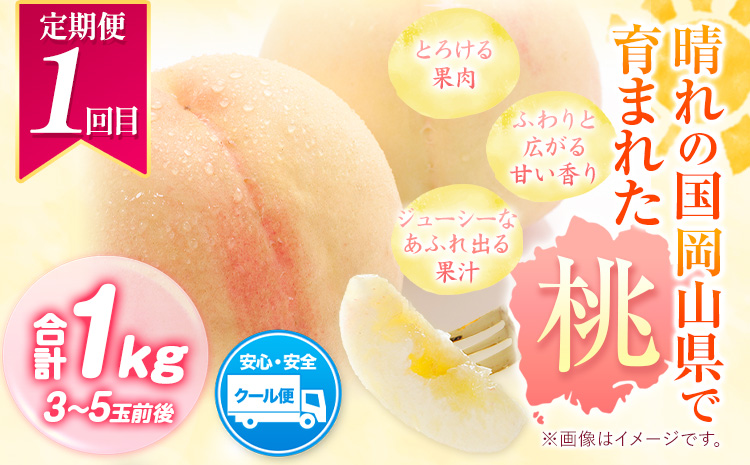 【先行予約】旬の フルーツ 定期便 ミニ 全3回 桃 約1kg(3～5玉前後) シャインマスカット 1房 (約650g) 旬の梨 約1.8kg (3～8玉前後) 《7月上旬～1月末頃出荷》フルーツ 果物 ご家庭用 定期便 お取り寄せ デザート 送料無料---ofn_cfrustei_25_30000_jul3---