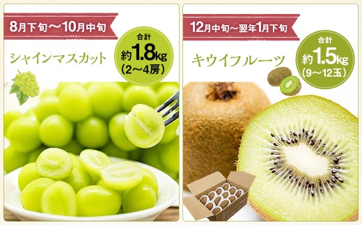【先行受付】【6回定期便】 フルーツ王国 山梨県産 6種セット ／ えべし フルーツ 果物 くだもの 貴陽 すもも もも 桃 梨 なし ぶどう ブドウ 葡萄 シャインマスカット キウイ 新鮮 果実 産地直送 山梨県 中央市 【2027年6月下旬-2028年1月下旬発送予定】