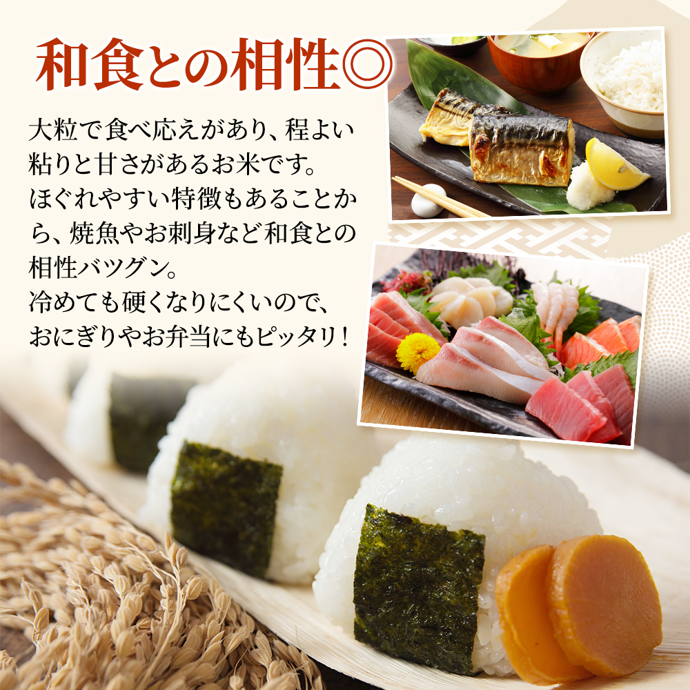 令和8年産 新潟県上越市産 新之助 定期便 10kg×6回 60kg しん