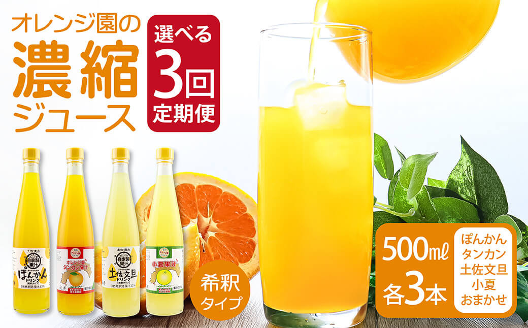 
オレンジ園の濃縮ジュース（ぽんかん・タンカン・土佐文旦・小夏・おまかせ）500ml 各3本～ 3回定期便 希釈用 みかんジュース チューハイ用 ドリンク ジュース 柑橘類 蜜柑 みかん【J00106-1】
