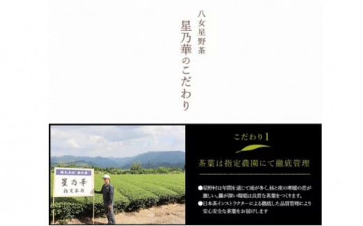 【C-131】八女星野茶 星乃悠 玉露・煎茶・かぶせ茶 詰合せ