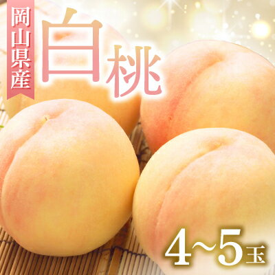 【ふるさと納税】◆先行予約◆　岡山県産　岡山白桃4～5玉　2025年発送【配送不可地域：離島・北海道・沖縄県】【1349771】