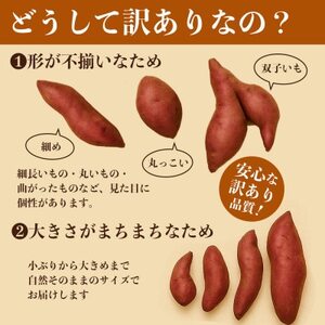 訳あり さつまいも 約5kg(益城町)【1689370】