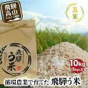 【ふるさと納税】【数量限定/先行受付】令和6年産 飛騨う米 玄米 10kg | 有機肥料 100％ 米 お米 受賞米 米コン3年連続特別優秀賞受賞米 飛騨高山 株式会社拳 TR3202