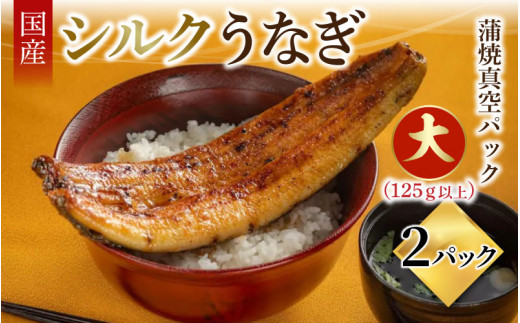シルクうなぎ蒲焼真空パック 大（125ｇ以上）×2パック【うなぎ 国産 2尾 うなぎ蒲焼 ギフト 冷凍 鰻 ウナギ 蒲焼 蒲焼き うなぎの蒲焼き やなのうなぎ 観光荘】