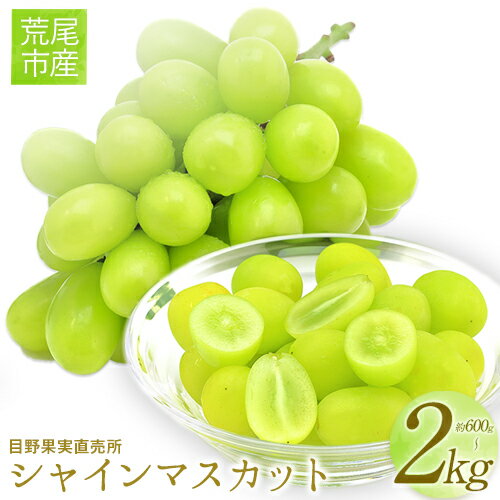【ふるさと納税】【先行予約】 シャインマスカット 選べる 約 600g ～ 700g 約 1kg 約 2kg 目野果実直売所《8月上旬-9月下旬頃出荷》マスカット 熊本県 荒尾市産 フルーツ 果物 新鮮