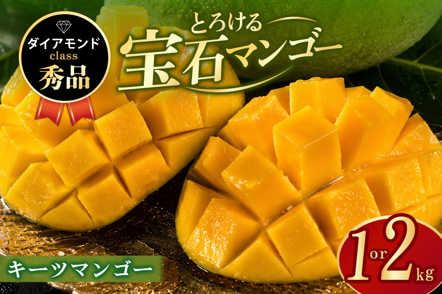 
                  ぼうけんの国 宝石マンゴー 【秀品】キーツマンゴー ダイヤモンドclass 選べる 約1kg 約2kg 国産 キーツ マンゴー 秀品 果物 南国 くだもの フルーツ 完熟 夏 旬 特産品 取り寄せ 産地直送 農家直送 甘い 濃厚 沖縄 うるま市 ku01-010-SKU
                
