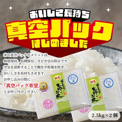 ふるさと納税 菊池市 【熊本県産】 七城のお米 にこまる 5kg　米食味分析鑑定コンクール金賞受賞