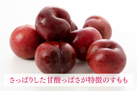AB136.九州・福岡フルーツ王国より直送.すもも.約1.4kg／2024年6月配送