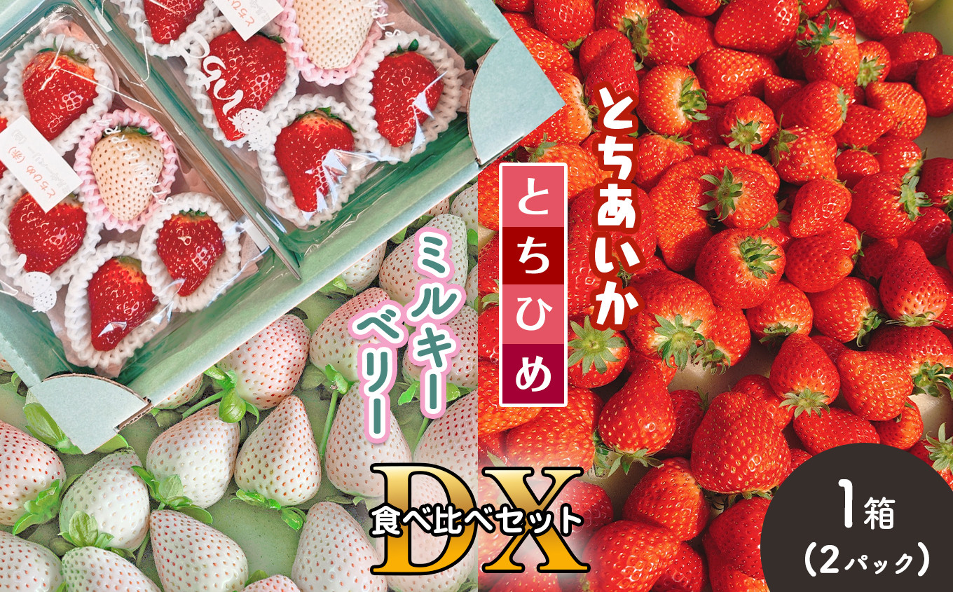 
                  【2026年12月以降発送】先行予約受付中！  とちあいか・とちひめ・ミルキーベリー食べ比べセット DX 真岡市 栃木県
                