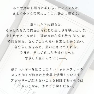 ふるさと納税 南相馬市 iriser (イリゼ) bijou riri ピアス ah005-ac |  | 01