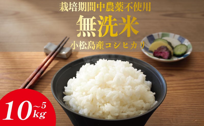 
                  令和7年産 米 無洗米 5kg 10kg  栽培期間中農薬不使用 米 白米  お米 コメ こしひかり コシヒカリ ※ okome kome おむすび おにぎり 徳島県産 精米 徳島県 小松島市
                