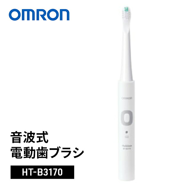 【ふるさと納税】オムロン 音波式電動歯ブラシ HT-B3170 omron 電動歯ブラシ 歯ブラシ 充電式 音波振動 立体微振動 歯垢除去 ステイン除去 薄型ヘッド 歯周病予防 口臭ケア タイパ オーラルケア ウェルビーイング ギフト 日用品 敬老の日 旅行 持ち運び