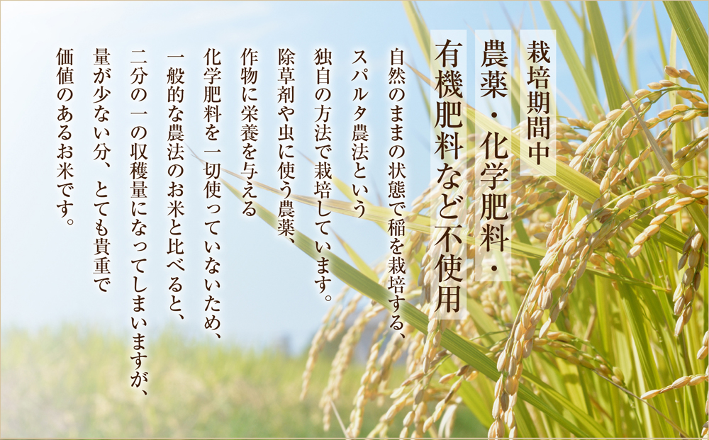 極美純米と黄金純米セット 2kg×2 お米 コンテスト 優秀金賞 ぴかまる ミルキークイーン 世界最高米 原料玄米 米 人気 美味しい こだわり 減農薬 食べ比べ 熊本 阿蘇
