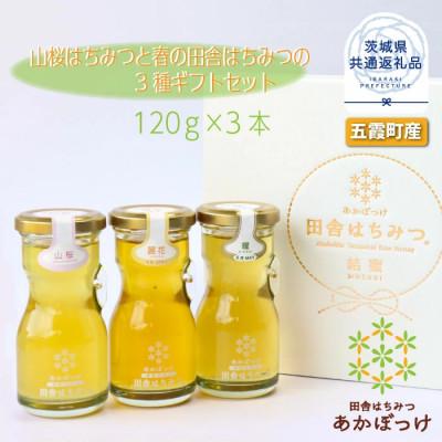ふるさと納税 那珂市 山桜はちみつと春の田舎はちみつの3種ギフトセット【R3山桜】【茨城県共通返礼品/五霞町】