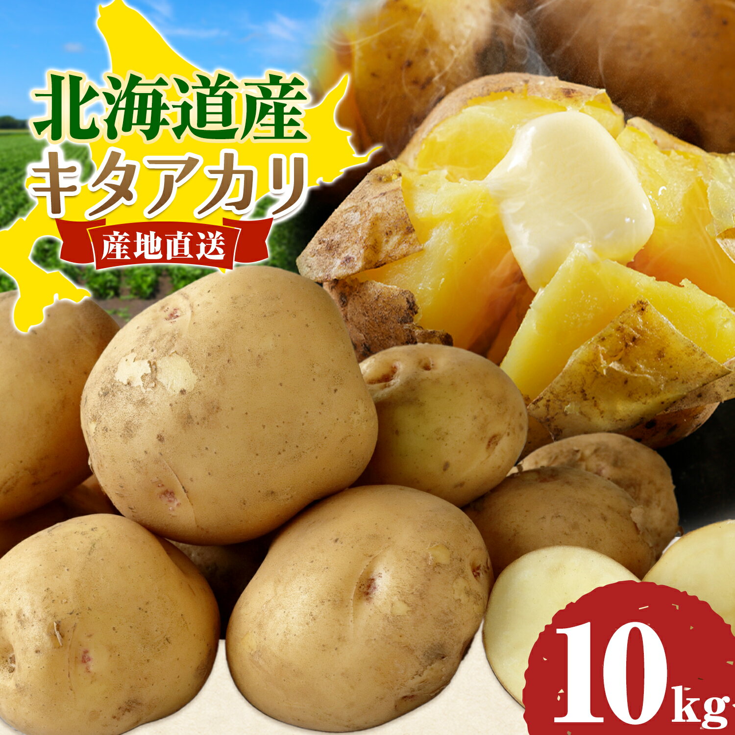 【ふるさと納税】北海道 十勝 本別町産じゃがいも キタアカリ 10kg 高橋賢三 《10月上旬-11月上旬頃出荷予定》 北海道 本別町 十勝 産地直送 じゃがいも きたあかり キタアカリ 野菜 ほくほく