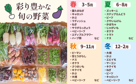 季節の旬野菜 おまかせセット 6種 3回 隔月定期便 （農薬・化学肥料不使用）オルタッリャ 《お申込み月の翌月から出荷開始》【配送不可地域あり】 