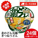 【ふるさと納税】 【 定期便 6カ月 】日清 北のどん兵衛 きつねうどん [ 北海道 仕様]24個 きつね うどん カップ麺 即席めん 即席麺 どん兵衛 千歳 ケースうどん 即席麺 麺類 カップ麺 カップうどん インスタント 麺類 【北海道千歳市】ギフト ふるさと納税