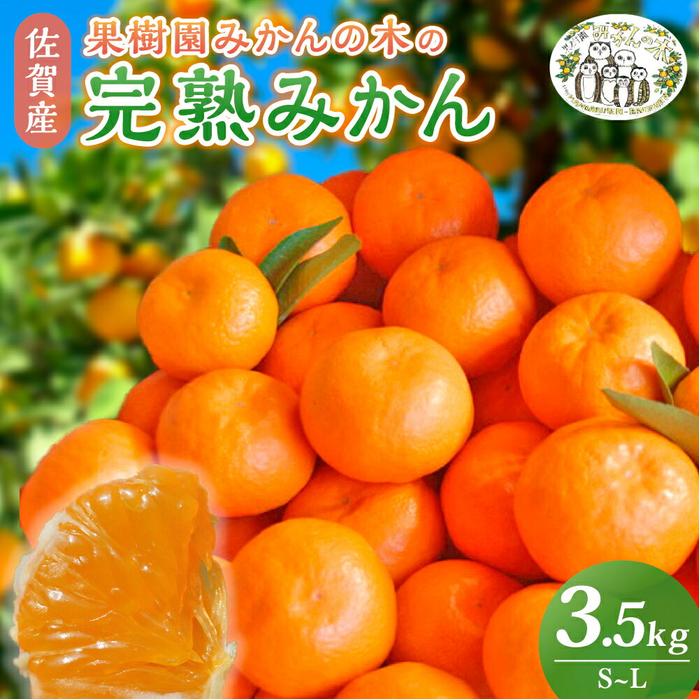 【ふるさと納税】L-9 果樹園みかんの木の完熟みかん 3.5kg　みかん ミカン 蜜柑 温州みかん 完熟みかん 甘熟 国産 佐賀県産 太良町 こだわり 産地直送 詰め合わせ