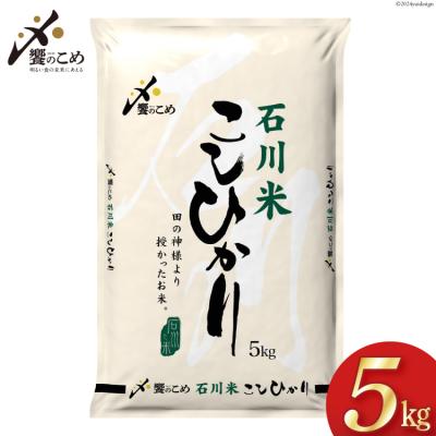 ふるさと納税 宝達志水町 米 令和6年 石川米こしひかり【穂立】5kg [中橋商事 宝達志水町 38601197]