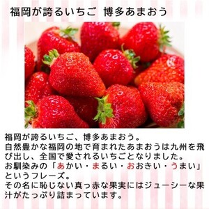 いちご 4パック 博多あまおう デラックス グランデ セット 詰め合わせ おまおう 苺 イチゴ 果物 くだもの フルーツ 旬のフルーツ 季節のフルーツ 旬の果物 季節の果物 福岡 福岡県 小郡市 お申