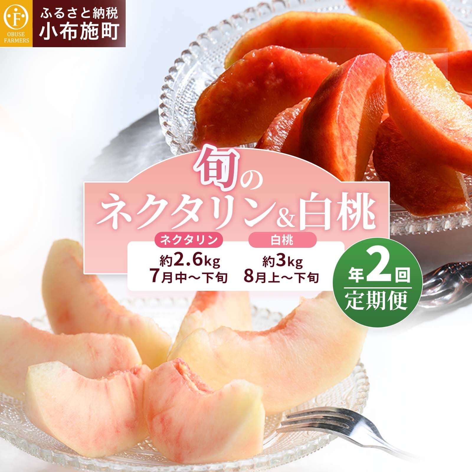 【ふるさと納税】[2回定期便] 旬のネクタリン＆白桃 約2.6～3kg 食べ比べ 年2回定期便 ［おぶせファーマーズ］ネクタリン 白桃 フルーツ 果物 冷蔵便 クール便 長野県産 信州産 小布施 令和7年産【2025年7月中旬～8月下旬発送】