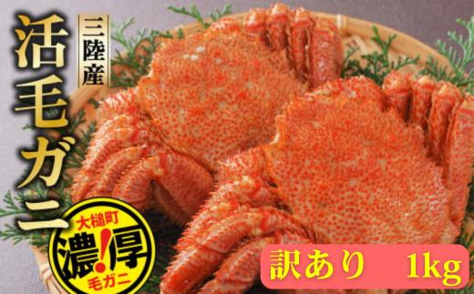 【期間限定！令和8年3月～4月発送】訳アリ三陸産活毛ガニ 1kg 【35】天然 国産 冷蔵 三陸 直送 濃厚 かに 蟹 カニ 毛ガニ 毛蟹 毛がに 初栄丸