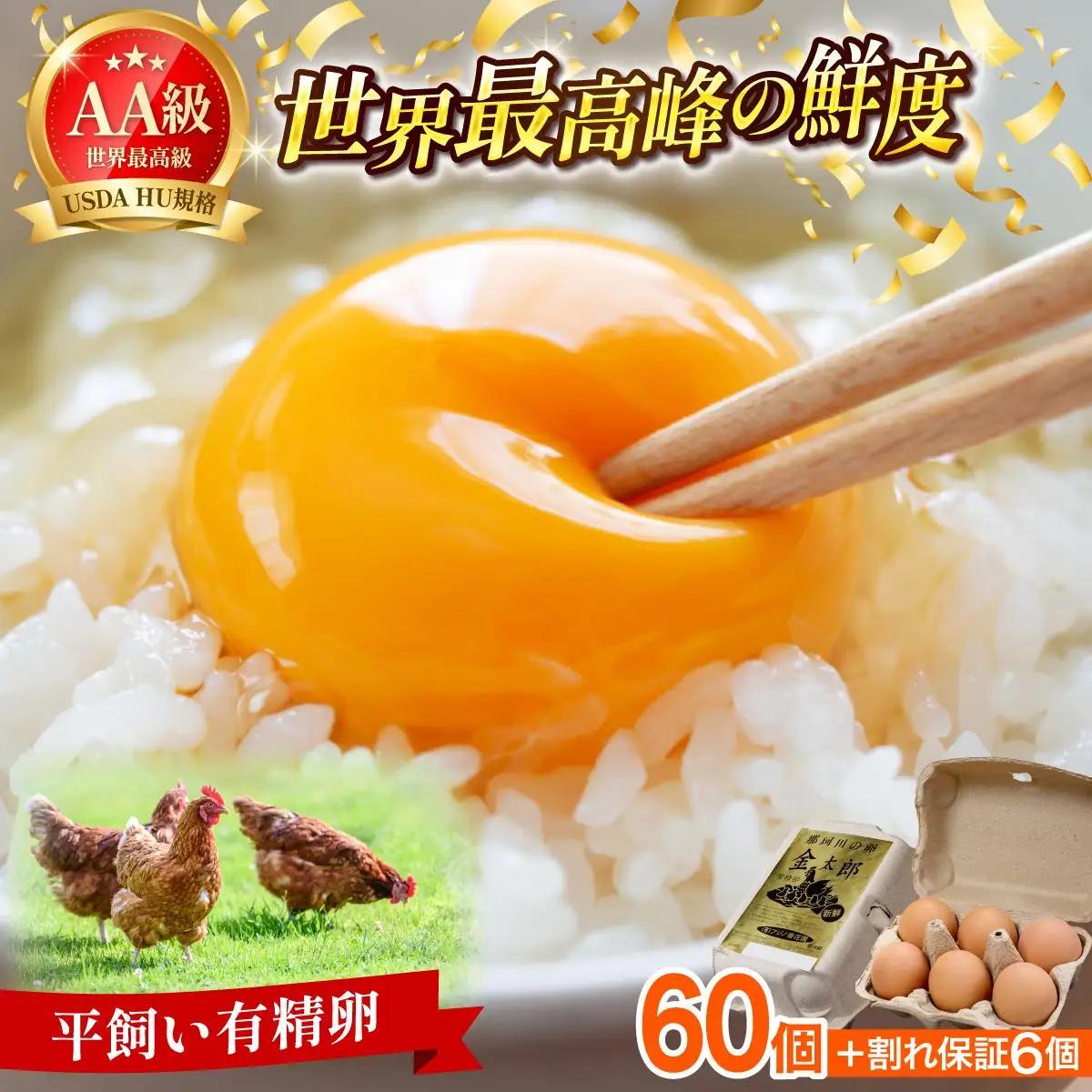 寄附額改定↓ 鮮度AA級の世界最高ランク！金太郎卵 平飼い たまご 60個（6個×10パック）
