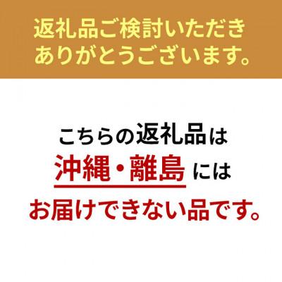 ふるさと納税 文京区 伝統工芸品 籐と和紙のうちわ(2017年東京知事賞受賞作品) 【長方形】[55007007] |  | 01