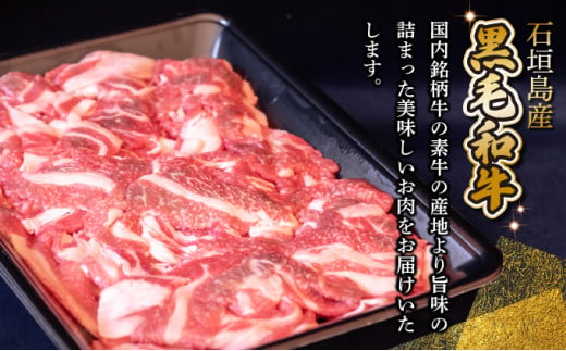 【順次発送】担当者イチオシ!! 石垣島産《黒毛和牛》切り落とし 1kg （500g×2） | お肉 肉 牛肉 冷凍 和牛 牛肉 冷凍  人気 おすすめ 国産 国産牛 小分け 八重山食肉センター  YC