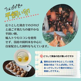 ＜３６９商店＞京都丹波産旬の野菜セットデラックス！平飼い卵10個、季節の果物又は加工品 ※全て栽培期間中農薬・化学肥料 不使用