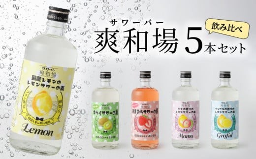爽和場（サワーバー） 飲み比べ5本セット_爽和場 サワーバー 5種類 飲み比べ 500ml 5本 セット レモンサワーの素 割るだけ 糖類ゼロ プリン体ゼロ レモン グレープフルーツ もも キウイ あまおう レモンサワー サワー リキュール お酒 福岡 久留米 送料無料_Ew006
