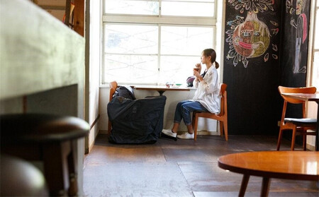 Tyrell(タイレル) IVE 鶯 (uguisu) 自転車 折りたたみ式 ミニベロ スポーツ ロードバイク スポーツサイクル 通勤 通学 サイクリング 変速付き 香川県 