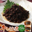 【ふるさと納税】牛しぐれ 約50g×5P（10食）計約250g しぐれ煮 牛 牛肉 甘辛 甘辛煮 佃煮 ご飯のお供 おつまみ 常温保存 お取り寄せ 茨城県 神栖市 送料無料