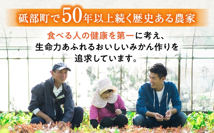 柑橘 蜜柑 みかん ミカン 愛果28号 訳あり 訳アリ 3kg 小玉 愛媛