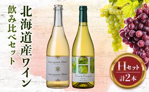 
            北海道ワインアカデミー修了生がつくる 厳選ワイン飲み比べ【セットH（R元修了生セット①）】 北海道 ワイン 飲み比べ 国産ワイン 厳選 セット 酒 アルコール 飲料 赤ワイン 白ワイン グルメ ギフト 贈答用 F6S-557
          