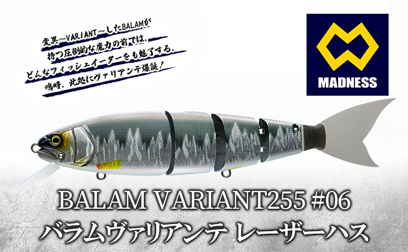 
                  BALAM VARIANT255 #06 バラムヴァリアンテ レーザーハス〈マドネス、ビックベイト、スイムベイト、ジャイアントベイト、釣り、バス釣り、ルアー、釣り具、スポーツ〉
                