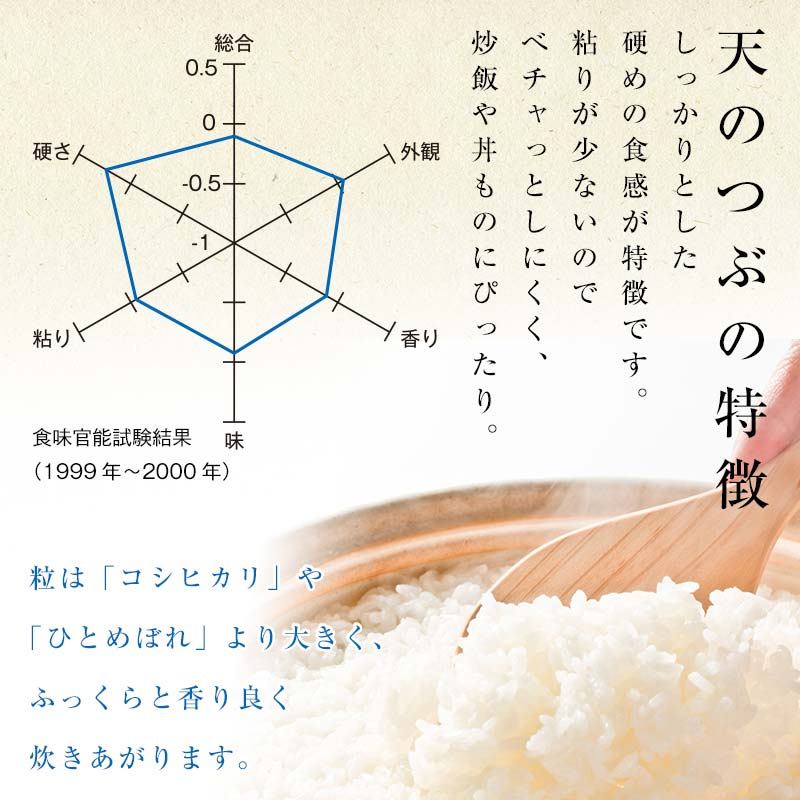 さいとう農園が作った天のつぶ 精米5kg 白米 【先行予約】2025年10月中旬から順次発送 ご飯 ごはん ライス 伊達市  米 お米 コメ 食品 F20C-914