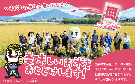 【令和7年産】新米 白米 あきたこまち 20kg スピード発送(20kgセット(5kgx4袋))《2～14日で出荷》