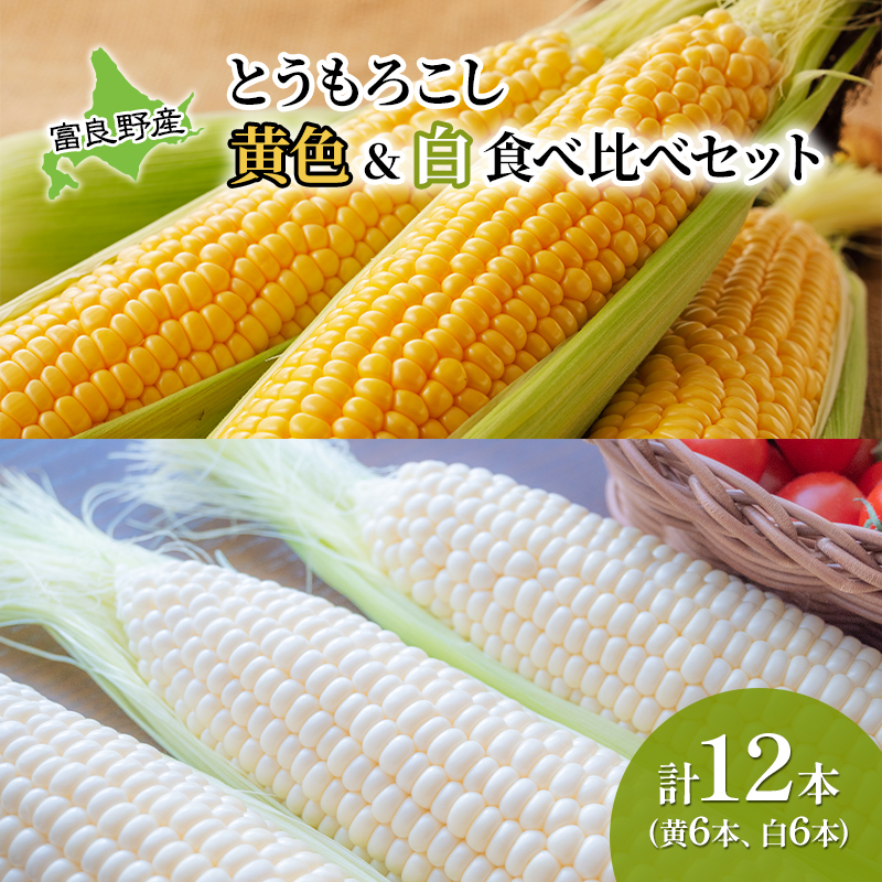 【2026年夏発送】 とうもろこし 食べ比べ 富良野産とうもろ