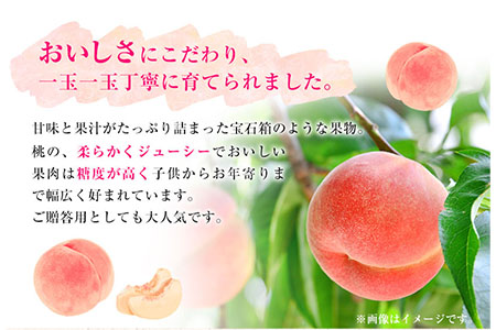 あら川の桃 秀品 約1.5kg (5玉～6玉)