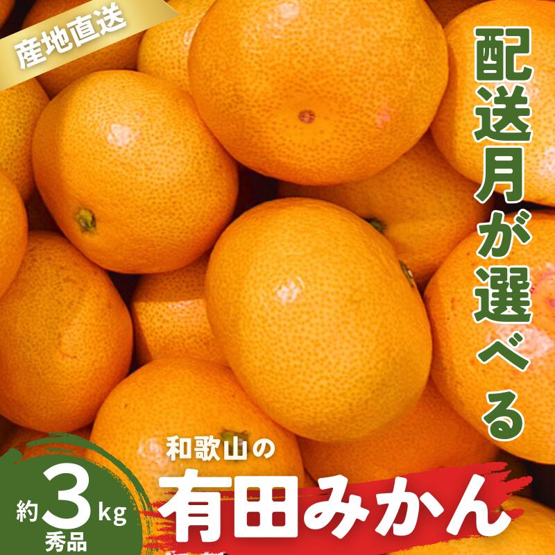 【ふるさと納税】 ＼配送月が選べる！／ 秀品 有田みかん 和歌山県産 S〜Lサイズ 大きさお任せ 3kg / みかん フルーツ 果物 くだもの 有田みかん 蜜柑 柑橘