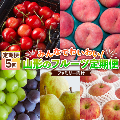 【定期便5回】★ファミリー向け★みんなでわいわい！山形のフルーツ定期便 【令和7年産先行予約】FS24-766