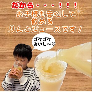 信州 サンふじ りんごジュース 100％ 3本セット | 飲料 果物 フルーツ りんご リンゴ ジュース サンふじ 信州 果汁100％ 3本セット ストレート 特産品 千曲市 長野県