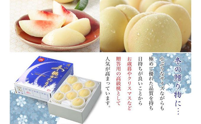 桃 岡山冬桃がたり ロイヤル 5～10玉 約1.3kg もも モモ 岡山県産 国産 フルーツ 果物 ギフト JA吉備路
