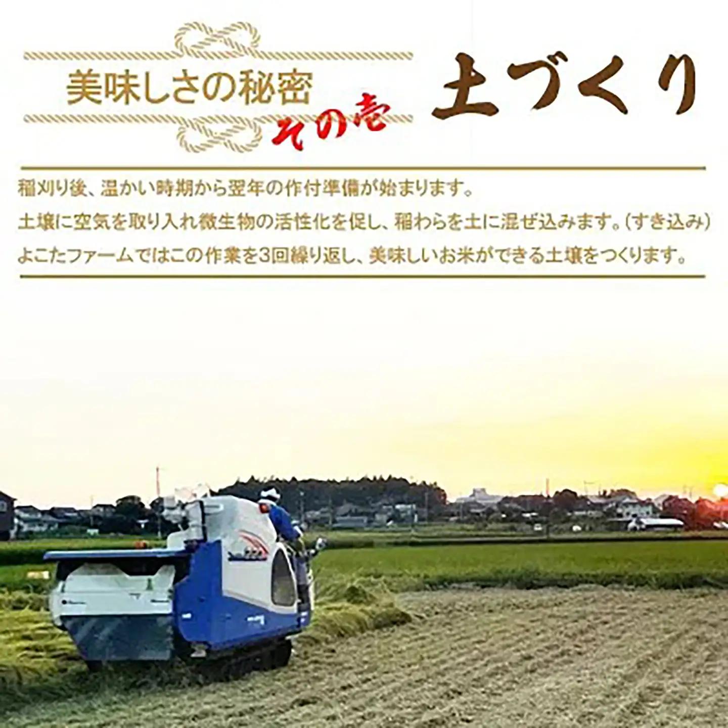 【玄米】令和7年産 コシヒカリ玄米 10kg 米