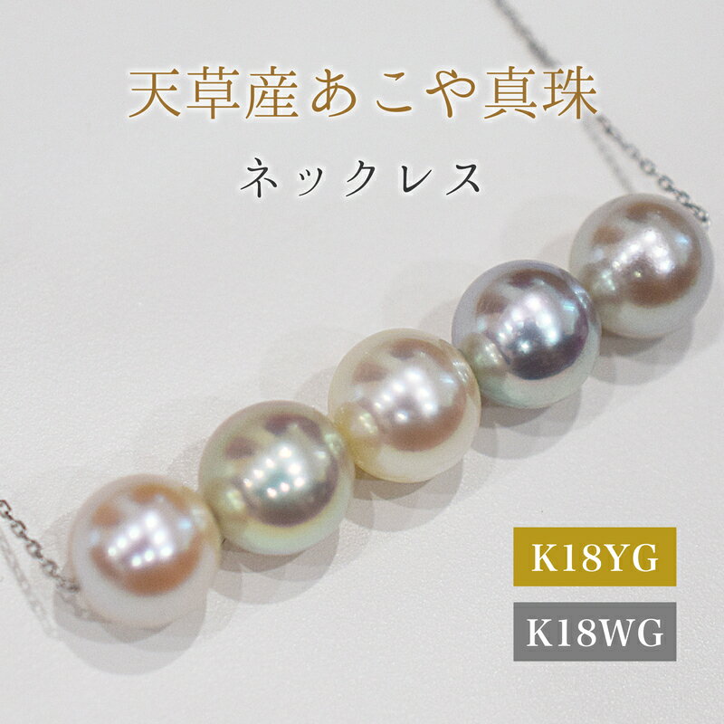 【ふるさと納税】ペンダント ネックレス あこや真珠 8mm - 8.5mm 真珠 パール 5連 選べる チェーン K18YG K18WG ナチュラル 無調色 あずきチェーン アジャスター付き アクセサリー ジュエリー ケース 品質保証書 てりクロス お取り寄せ 熊本県 天草市 送料無料